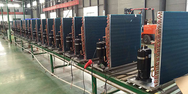 1546927111105083.jpg 未標(biāo)題-9.jpg